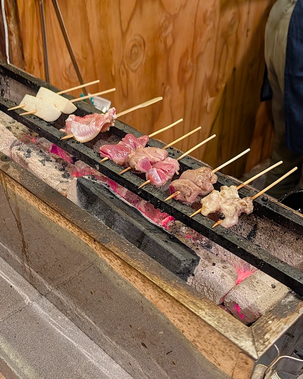 A variety of skewers grilling on a japanese style charcoal grill