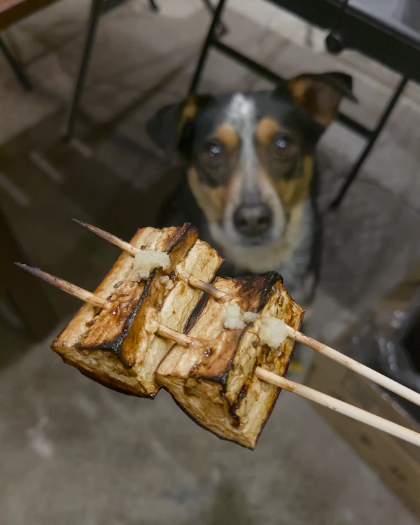Grilled eggplant skewer