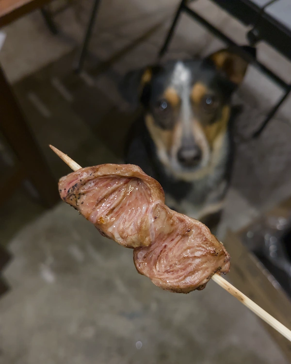 Grilled chicken heart skewer