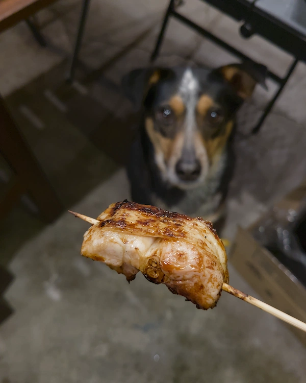 Grilled chicken thigh and scallion skewer